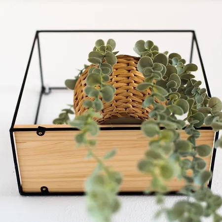 Madeinterranean Beach- Higueron Front Line *