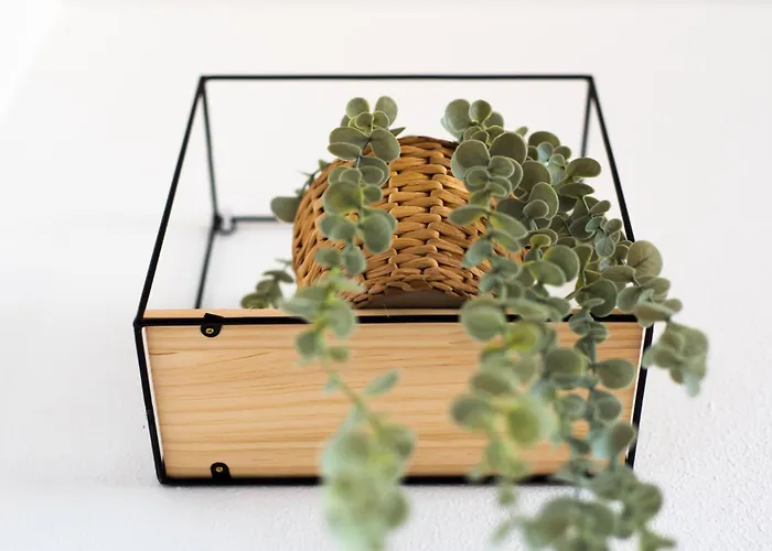 Madeinterranean Beach- Higueron Front Line *